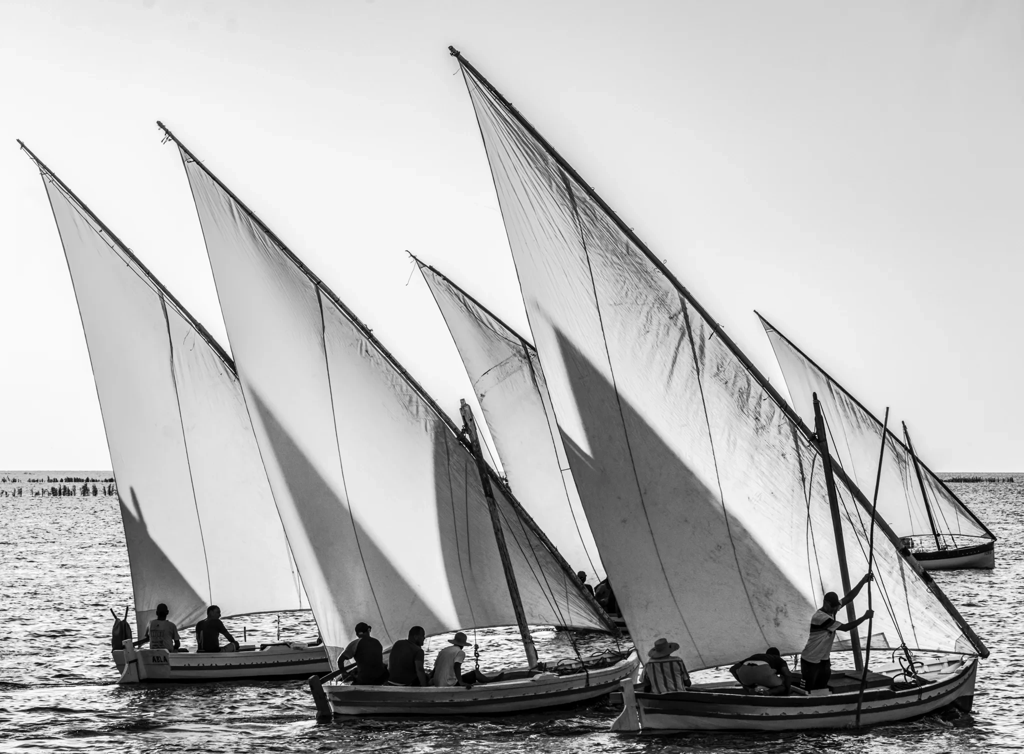 Plusieurs bateaux aux voiles latines sur la mer